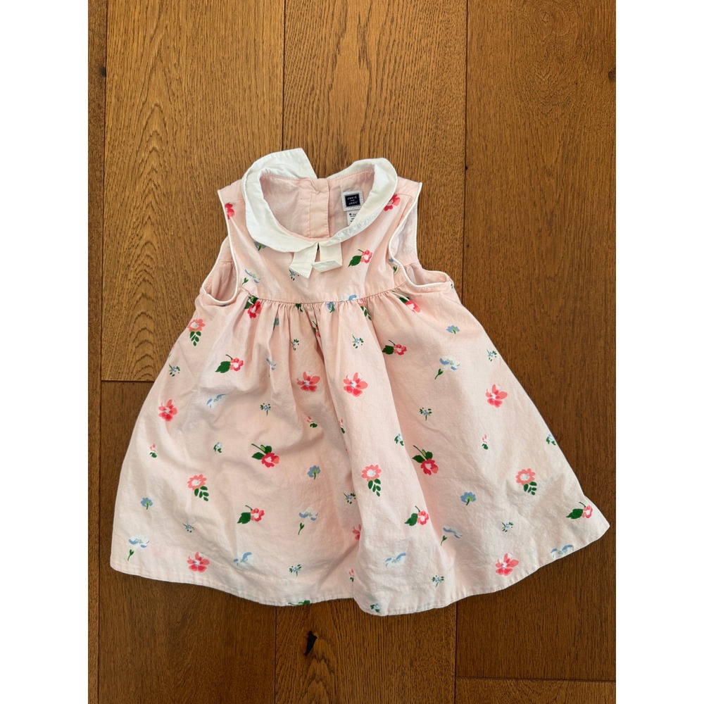 Janie And Jack Baby Dress 6-12 Months Pink Floral Excellent Peter Pan Collar